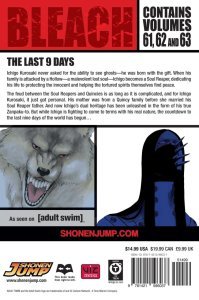 BLEACH 3- IN-1TP VOL 21