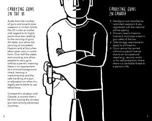 Gun Violence 101: A Graphic Guide to How Gun Safety Policies Save Lives (Gun Violence Prevention)