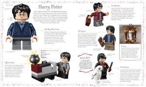 LEGO® Harry Potter™ Magical Treasury