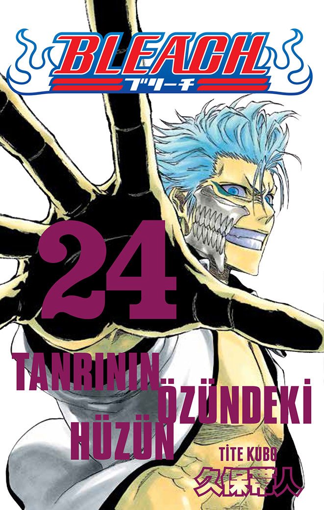 Bleach 24.Cilt