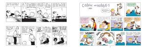 The Calvin and Hobbes Portable Compendium Set 2: Volume 2