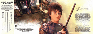 The Wand Chooses the Wizard