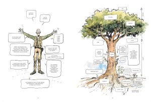 The Hidden Life of Trees: A Graphic Adaptation: (Of the International Bestseller)