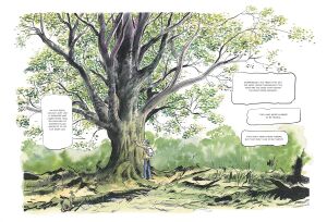 The Hidden Life of Trees: A Graphic Adaptation: (Of the International Bestseller)