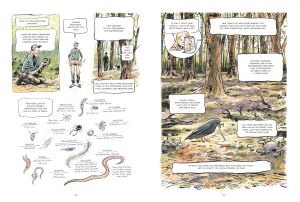The Hidden Life of Trees: A Graphic Adaptation: (Of the International Bestseller)
