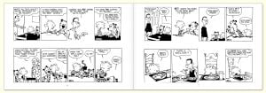 The Calvin and Hobbes Portable Compendium Set 1: Volume 1