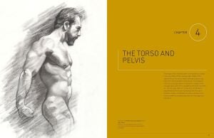 Essential Human Anatomy for Artists: A Complete Visual Guide to Drawing the Structures of the Living Form