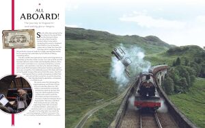 Harry Potter: Wizards of Baking: The Official Companion Guide: Includes Delicious, Harry Potter-Inspired Recipes to Make at Home