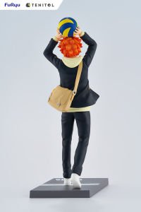 Haikyu!! - Shoyo Hinata Tenitol Figure (Recess Ver.)