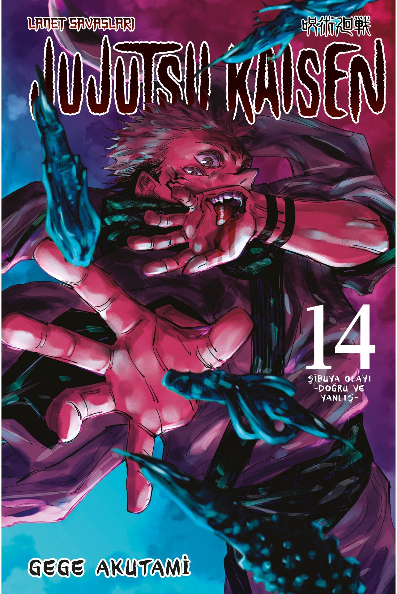 Jujutsu Kaisen 14. Cilt