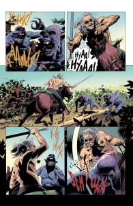 The Witcher Volume 9: Corvo Bianco
