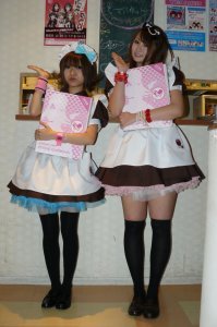 The Moe Manifesto: An Insider's Look at the Worlds of Manga, Anime, and Gaming
