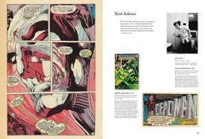 THE SILVER AGE OF DC COMICS