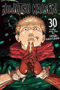 Jujutsu Kaisen, Vol.  30