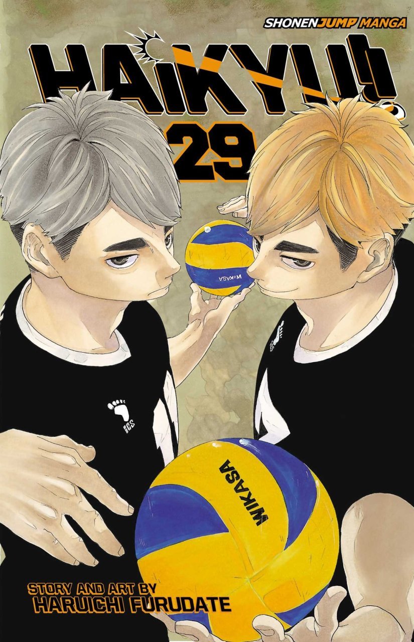HAIKYU GN VOL 29