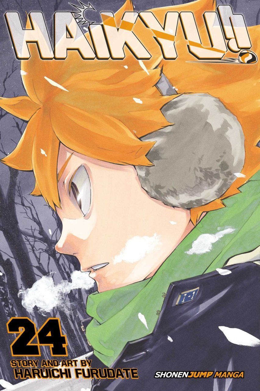 HAIKYU GN VOL 24