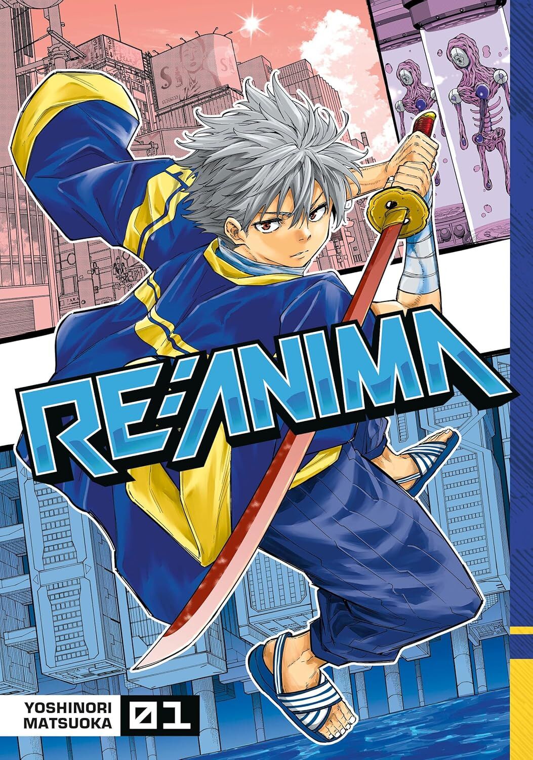 RE: Anima 1