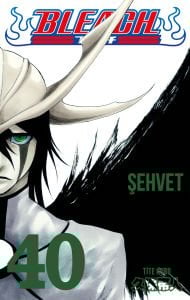 Bleach 40. Cilt
