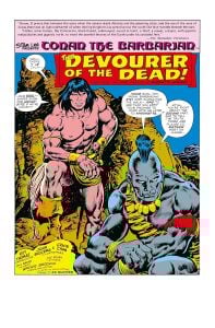 Conan The Barbarian: The Original Comics Omnibus Vol.4