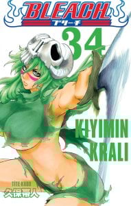 Bleach 34.Cilt