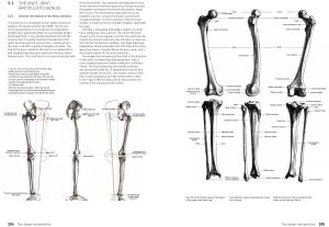 The Complete Guide to Anatomy for Artists & Illustrators