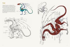 The Art of Fantasy: A Complete Step-By-Step Guide to Drawing Characters and Concept Design