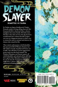 Demon Slayer: Kimetsu No Yaiba, Vol. 20