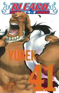 Bleach 41. Cilt