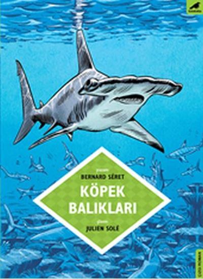 KÖPEK BALIKLARI