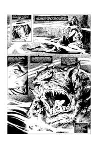 The Savage Sword of Conan: The Original Comics Omnibus Vol.4