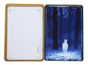 Harrry Potter  Concept  Postcard Tin Box