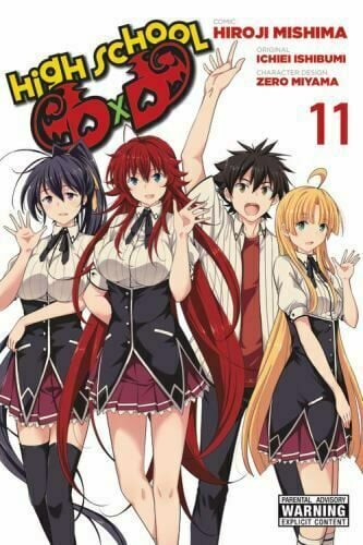 HIGH SCHOOL DXD VOL 11