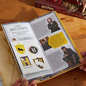 Harry Potter: Hufflepuff Magic: Artifacts from the Wizarding World