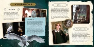 Harry Potter: Magical Creatures: A Movie Scrapbook