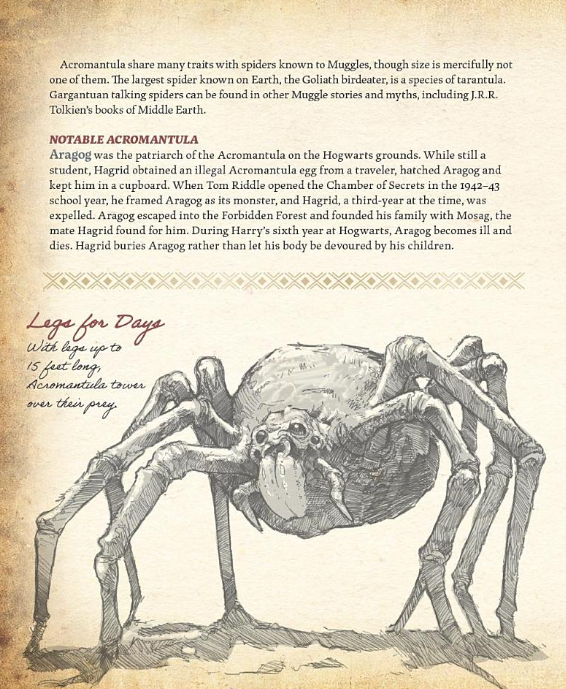 The Wizarding World’s Great Book of Beasts: A complete guide to the ...