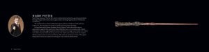 Harry Potter: The Wand Collection (Book)