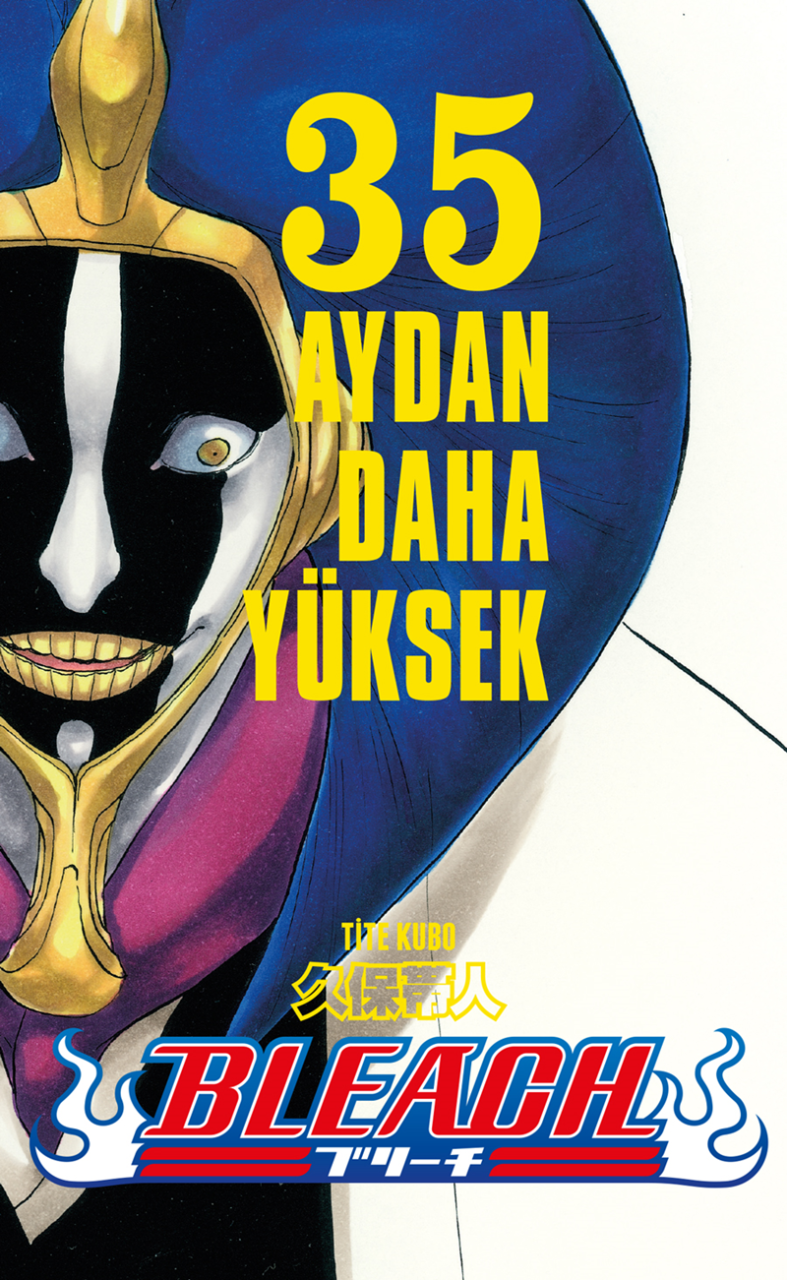 Bleach 35.Cilt