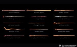 Harry Potter and Fantastic Beasts: The Wands of the Wizarding World: Updated and Expanded Edition