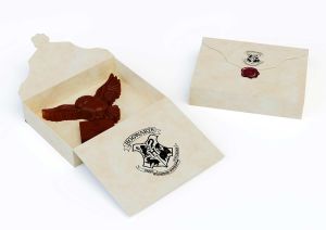 Harry Potter: Make Your Own Chocolate Owls: Silicone Chocolate Mold and Gift Box Set