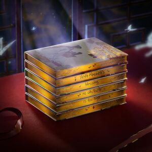 Heaven Official\'s Blessing Box Set (1-6)