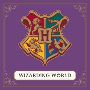 Harry Potter Conversation Cards & Booklet: 125 Magical Musings