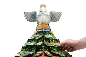 Harry Potter: Hedwig Pop-Up Advent Calendar (Reinhart Pop-Up Studio)