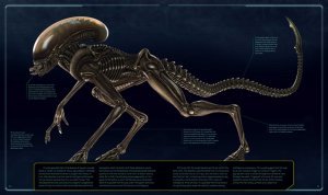 Alien: The Weyland-Yutani Report  HC